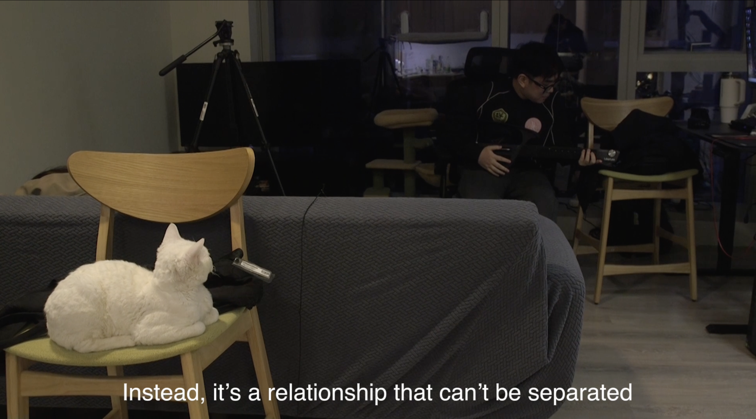 A quiet shared domestic space between a person and cat.