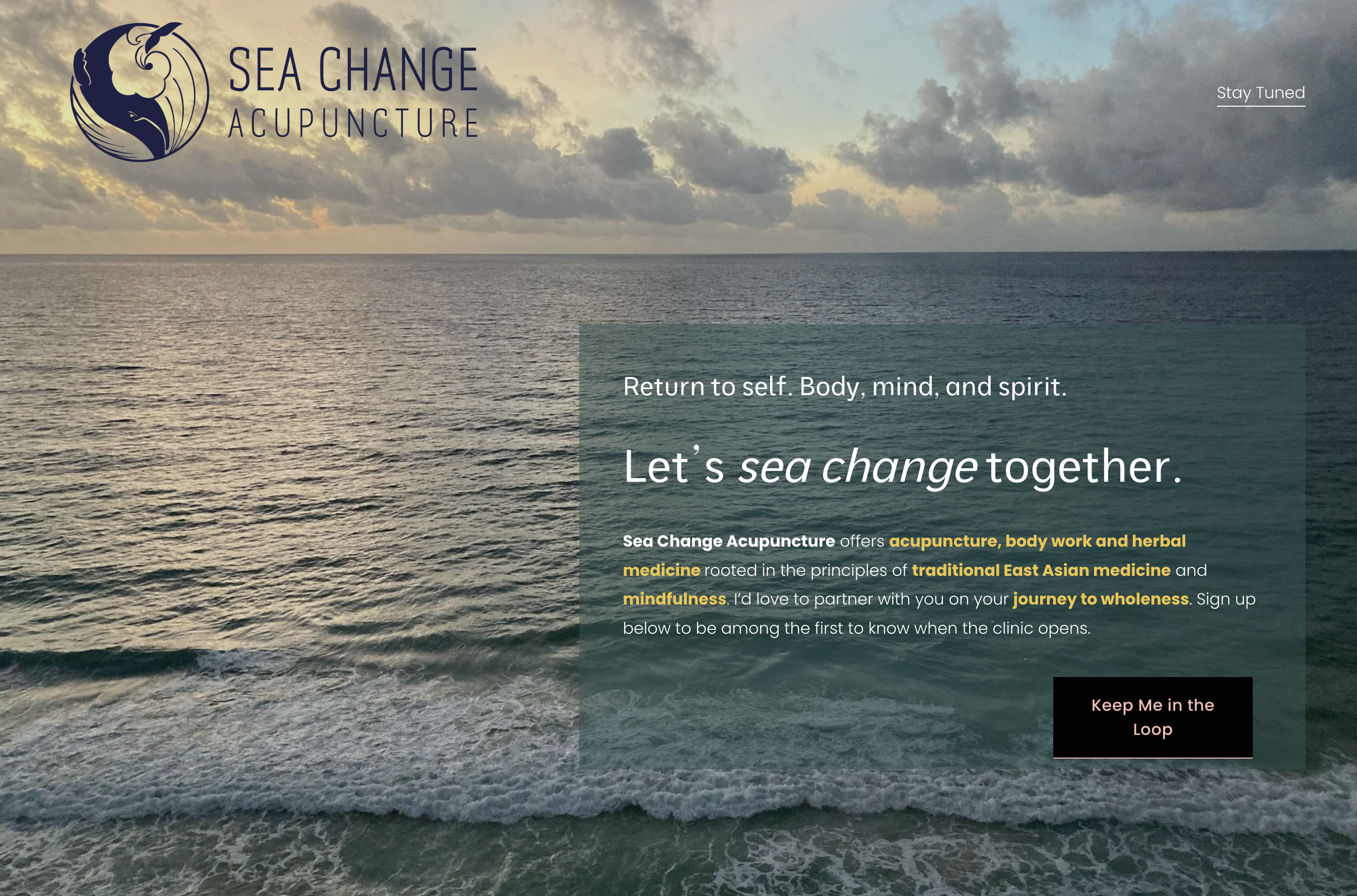 Original Sea Change Acupuncture website placeholder before the practice launched.