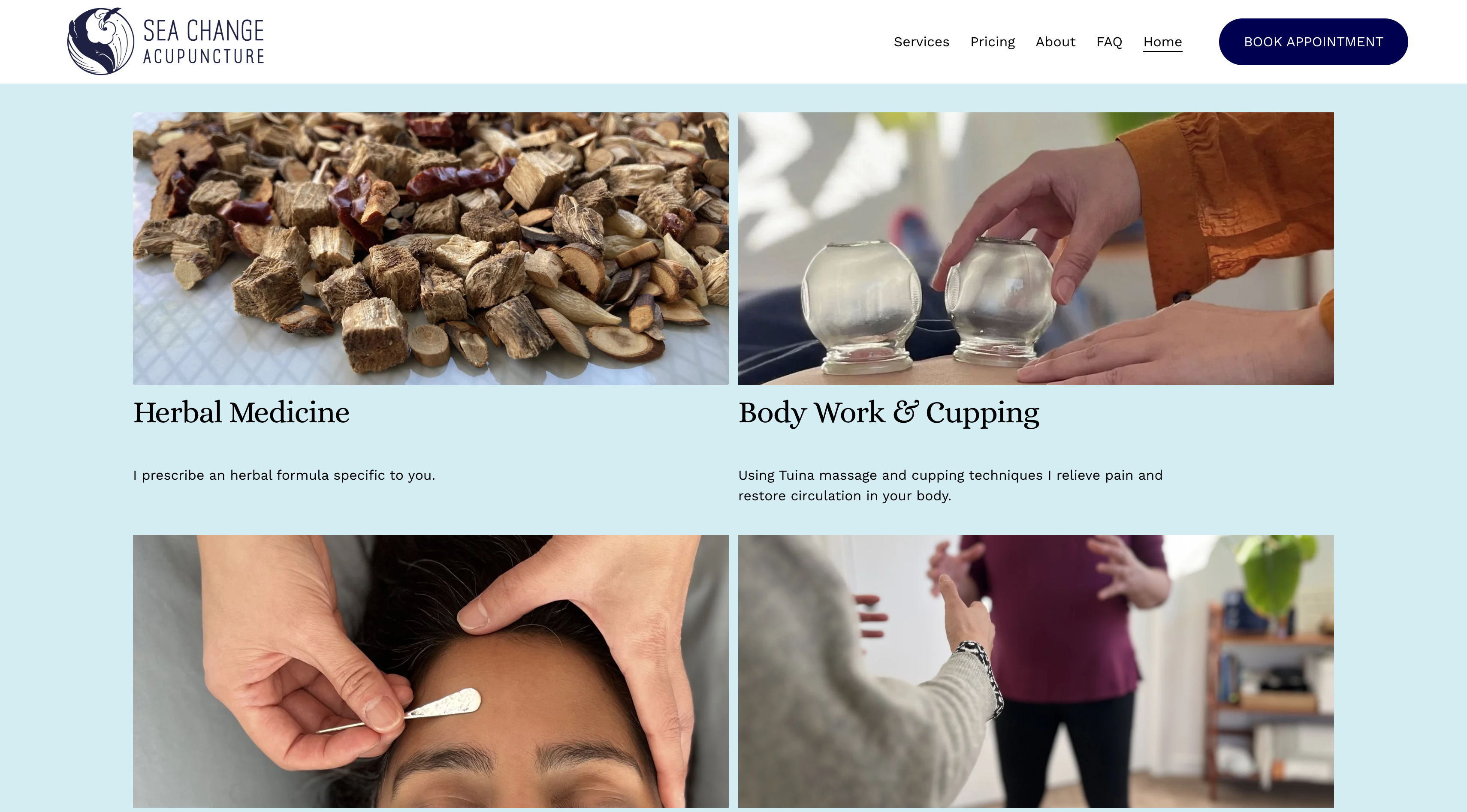 Sea Change services page explaining acupuncture and related care options.